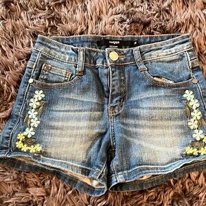 Harper distressed and embroidered size 25 shorts.  Super cute.
